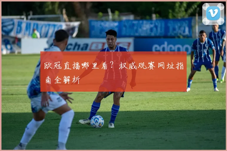 欧冠直播哪里看？权威观赛网址指南全解析