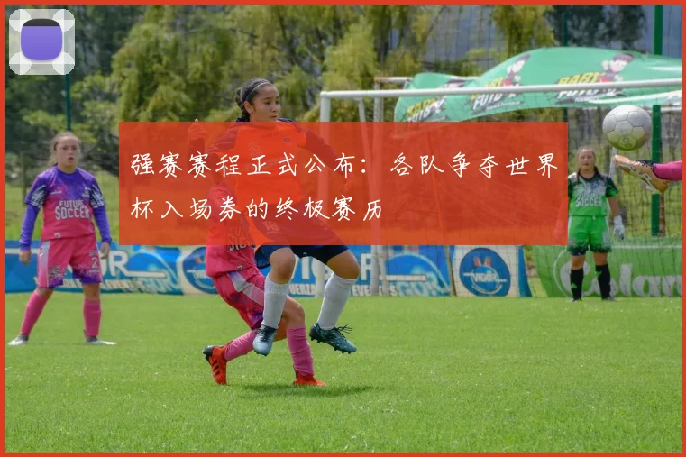强赛赛程正式公布：各队争夺世界杯入场券的终极赛历