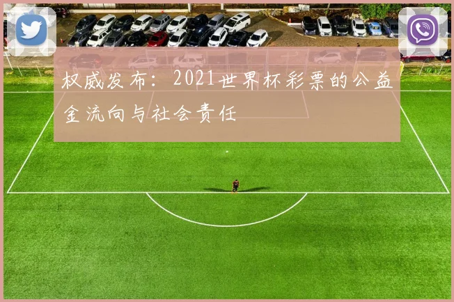 权威发布:2021世界杯彩票的公益金流向与社会责任