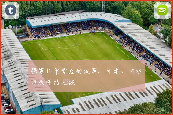 强赛门票背后的故事:汗水、泪水与欢呼的见证