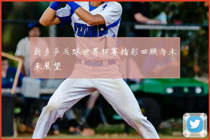 新乡乒乓球世界杯赛精彩回顾与未来展望