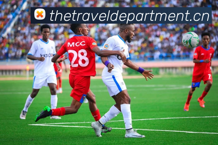 mk官网入口登录APP 封面图